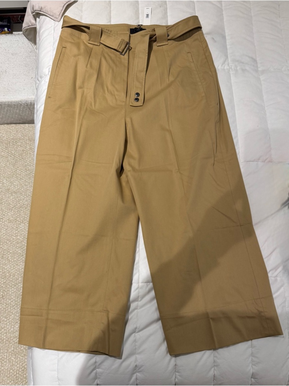 Banana Republic Women’s Wide-Leg Pleated Chinos in Tan